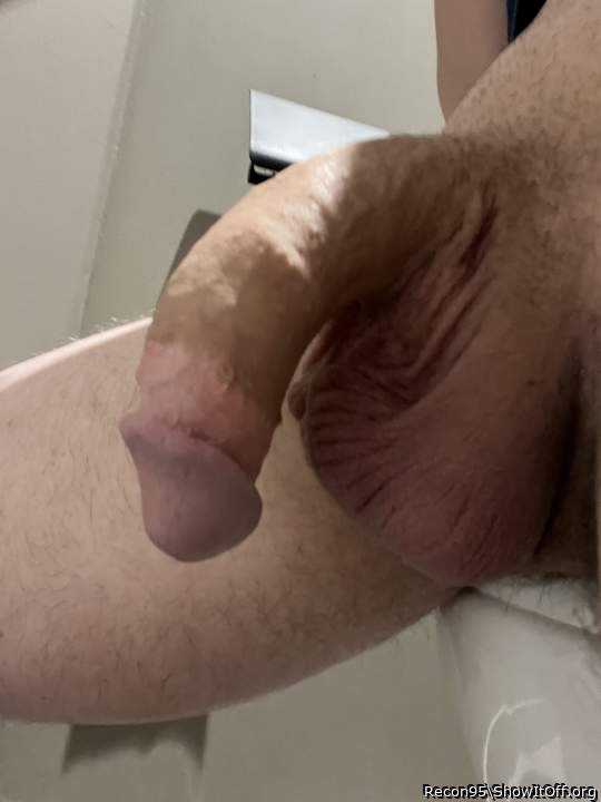 Adult image from Recon95