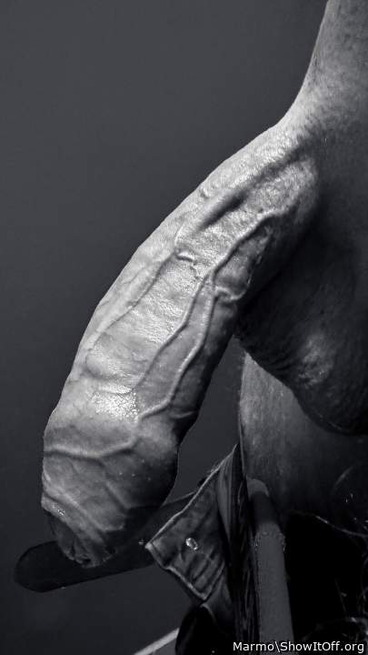 Adult image from Marmo