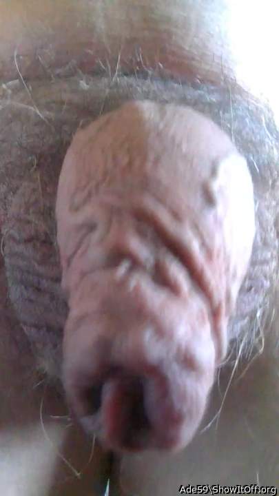 Adult image from Ade59