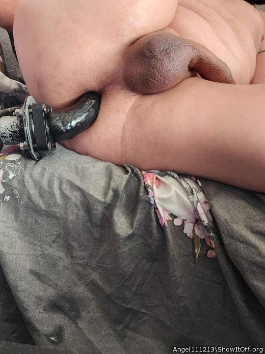 Nice cock and balls 