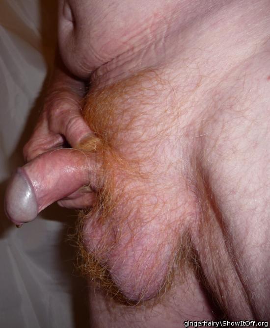 just look at those beautiful hairy hangers    