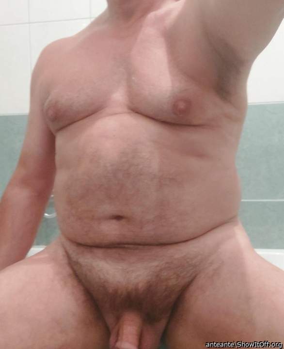 Adult image from anteante