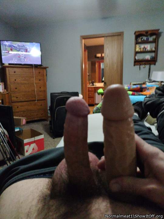 Adult image from Normalmeat1