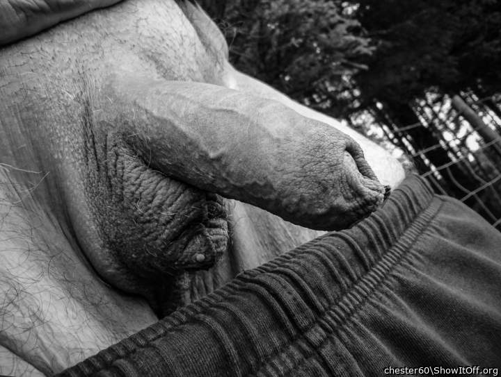 Adult image from chester60