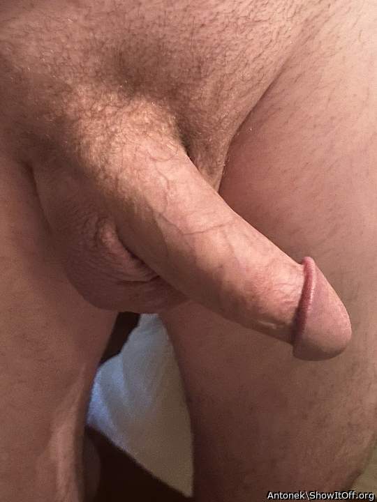Adult image from Antonek
