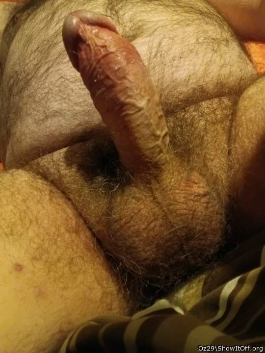 Adult image from Oz29