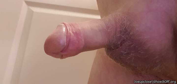 Closeup cock