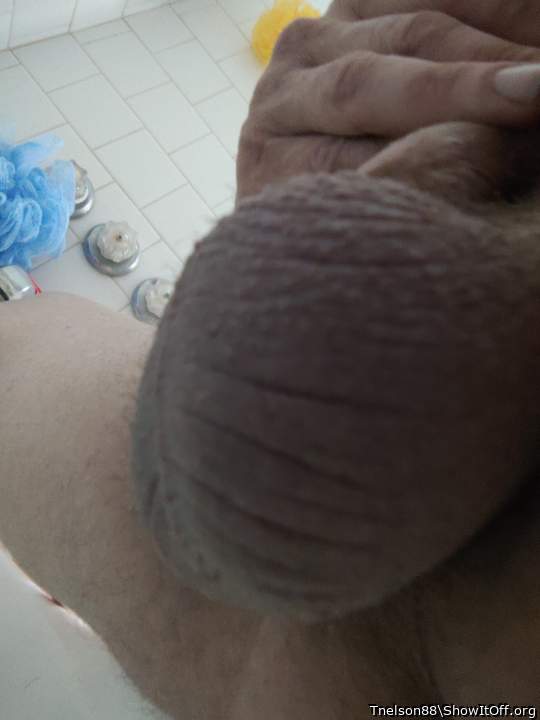 Adult image from Tnelson88