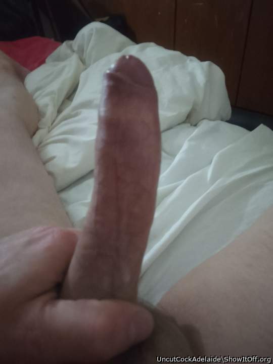 Adult image from UncutCockAdelaide