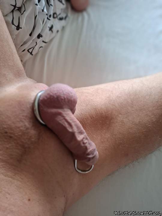 Adult image from Mshuttle