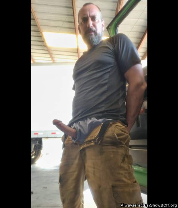 Adult image from Alwayserectus