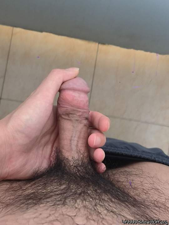 Adult image from bf2333