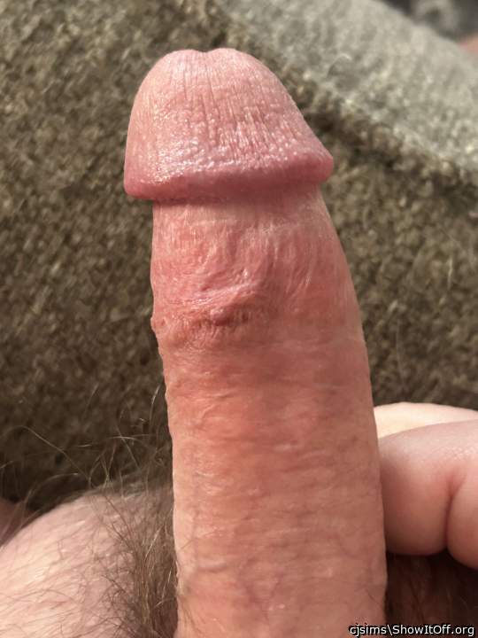 Wonderful cock pic 