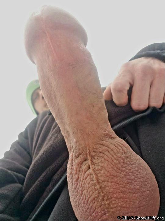Snowy cock flash from below