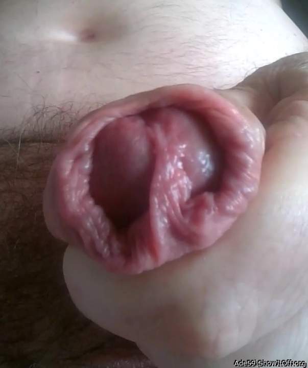 Oh, what a FINE frenny!!!   