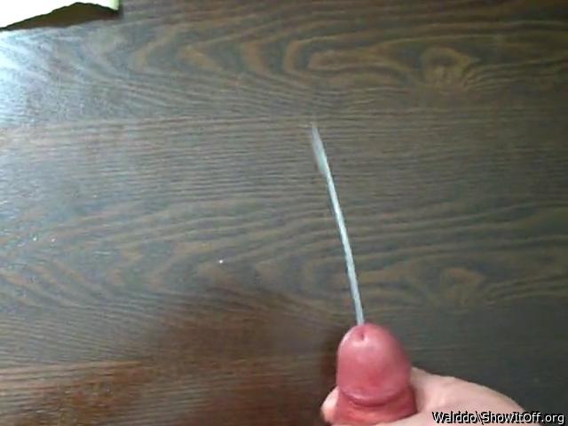 Adult image from Walddo