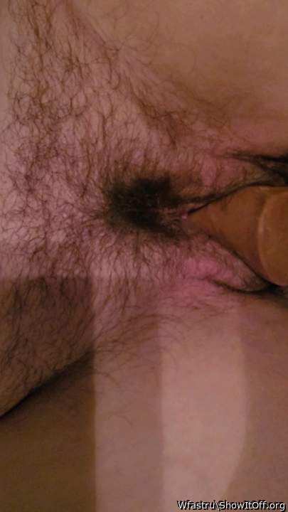 Adult image from Wfastru