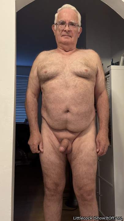 Adult image from Littlecock