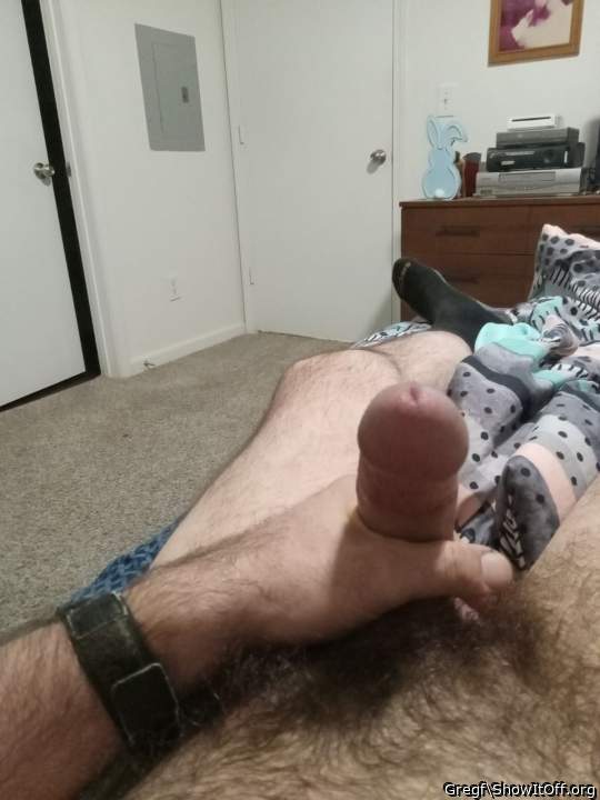 Adult image from Gregf