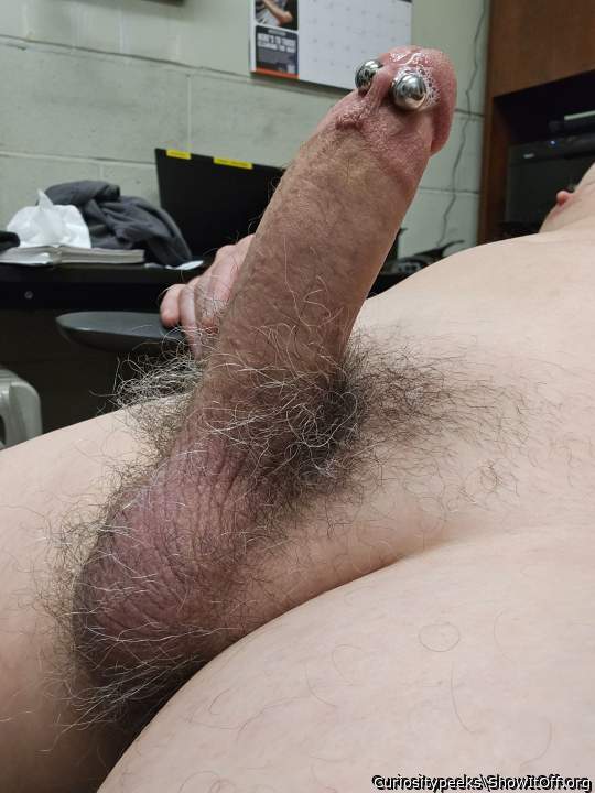 Awesome pierced cock oozing precum, truly delicious!      