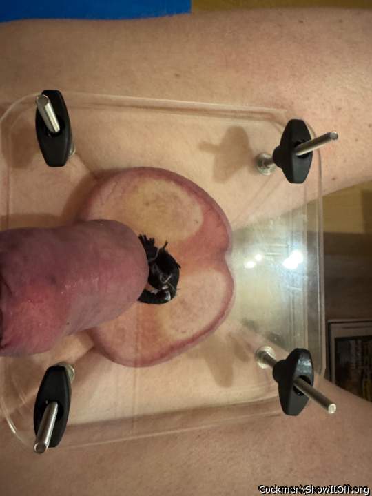 Adult image from Cockmen