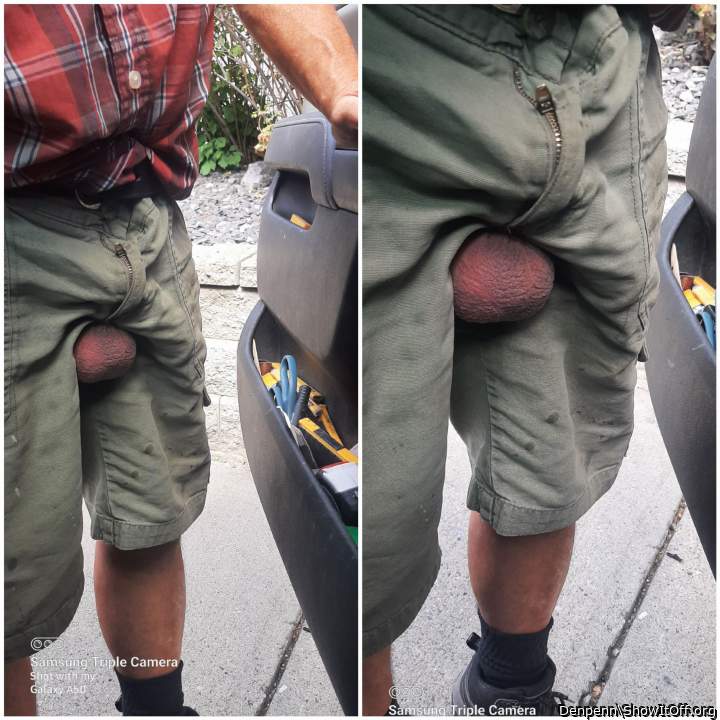 The balls shorts