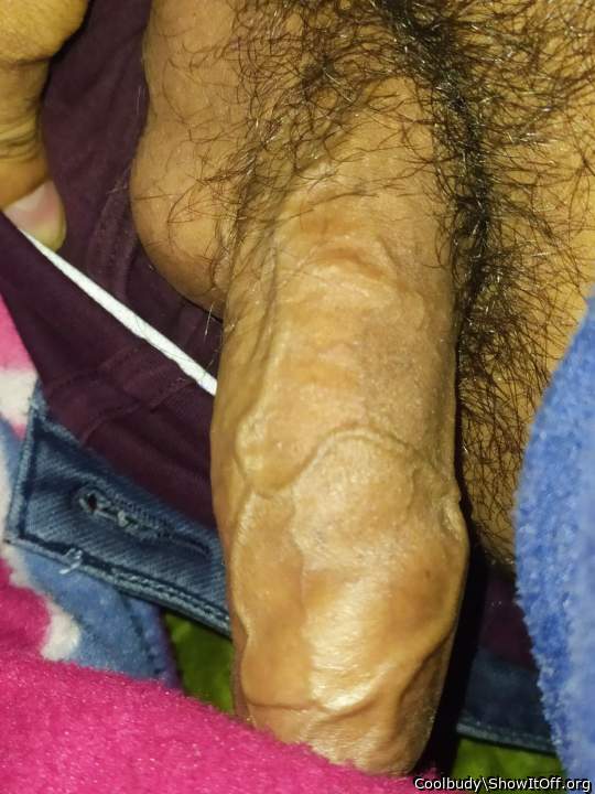 Adult image from Coolbudy