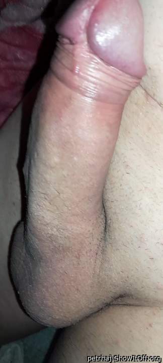 my hard and shaved dick)