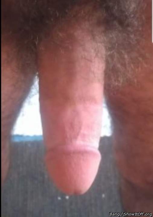 Adult image from Bangu