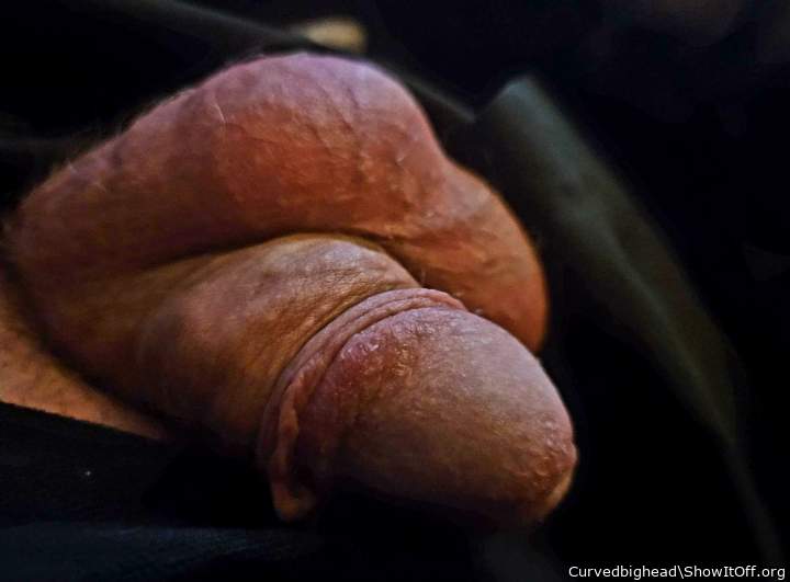 Adult image from Curvedbighead