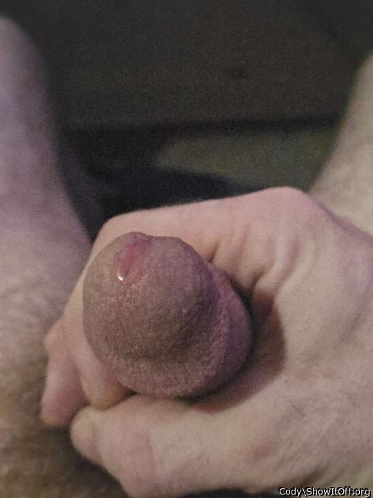 Adult image from Cody