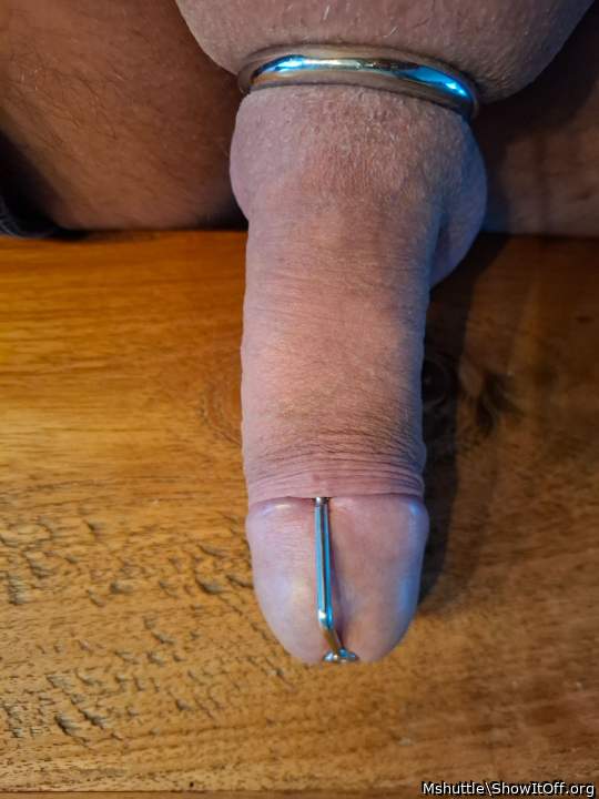 Adult image from Mshuttle