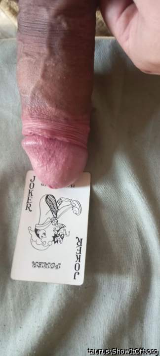 Adult image from taurus