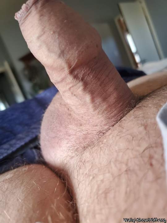 This cock is ready