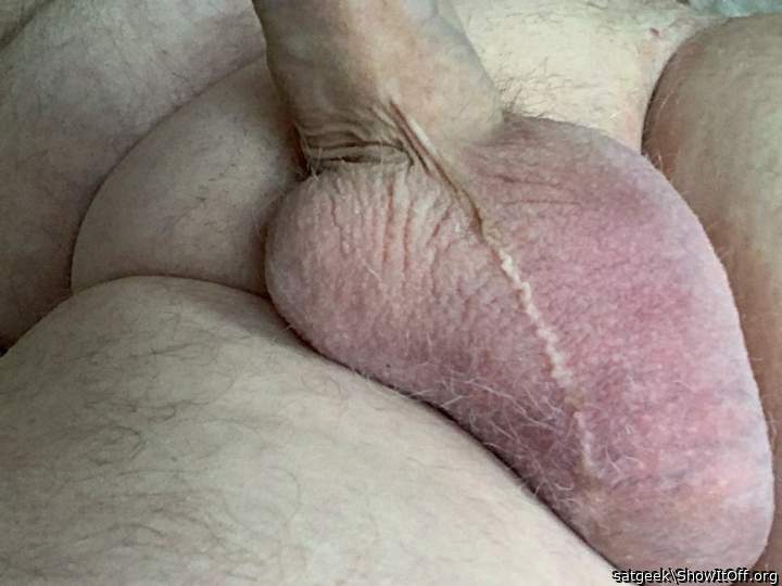 Big beautiful balls n meat, n a sexy fleshy bod