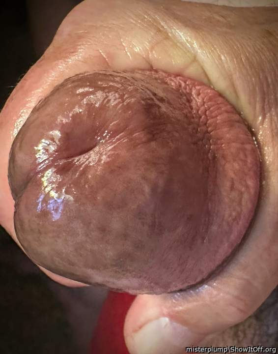 Adult image from misterplump