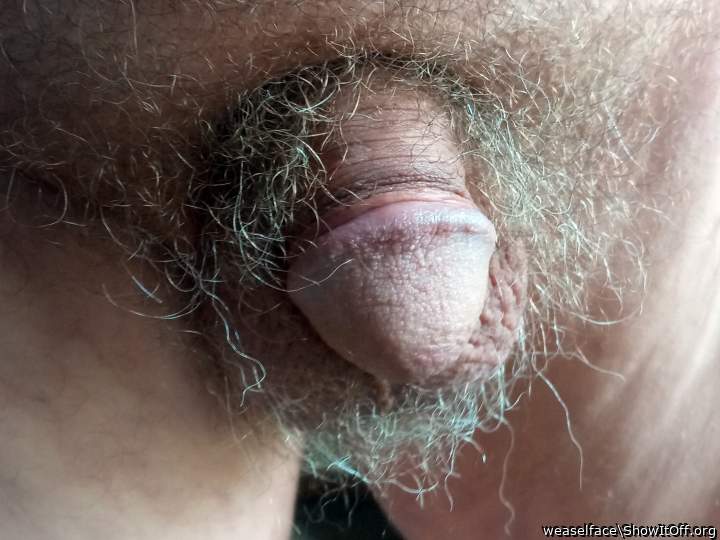 Love the shape of your head. Shave it clean, no hair makes i