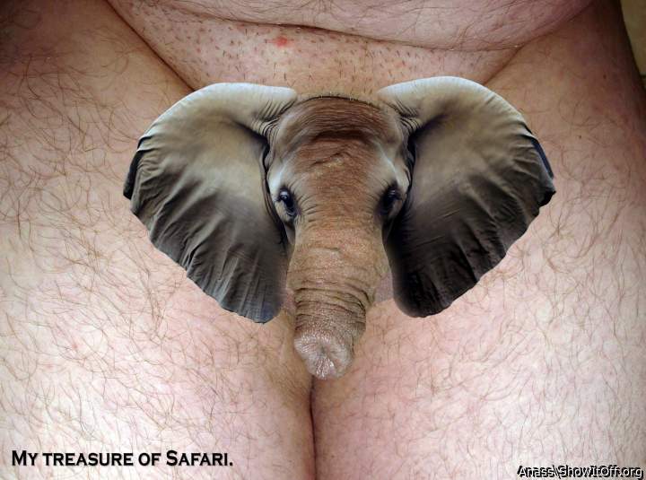 Return from Safari