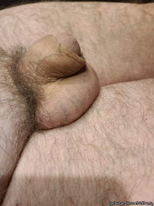 Adult image from jackstar