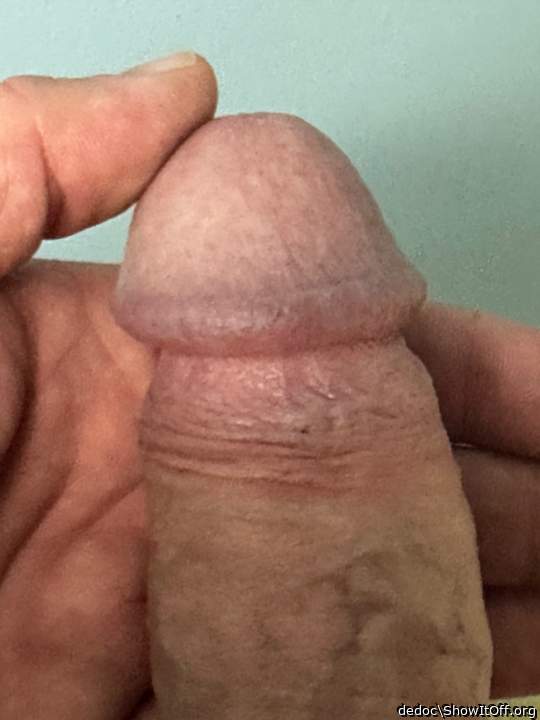 Cock