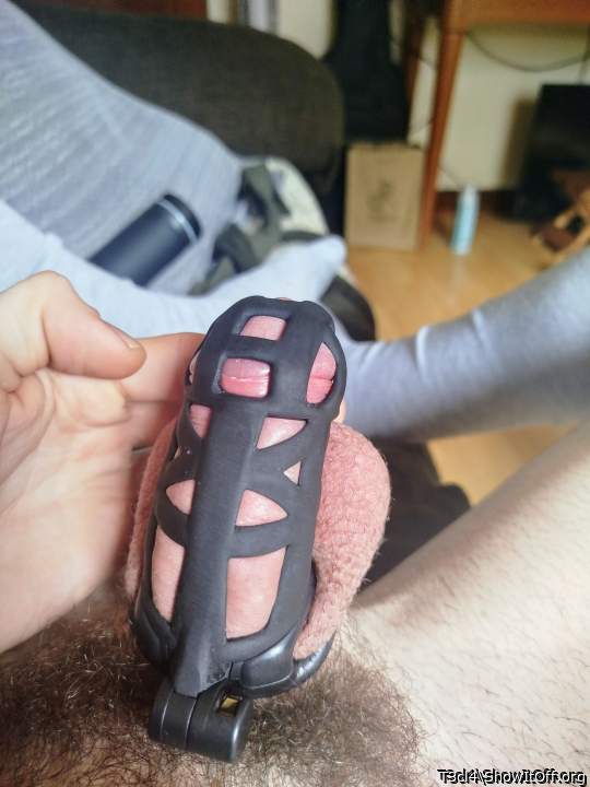 Adult image from T3cl4