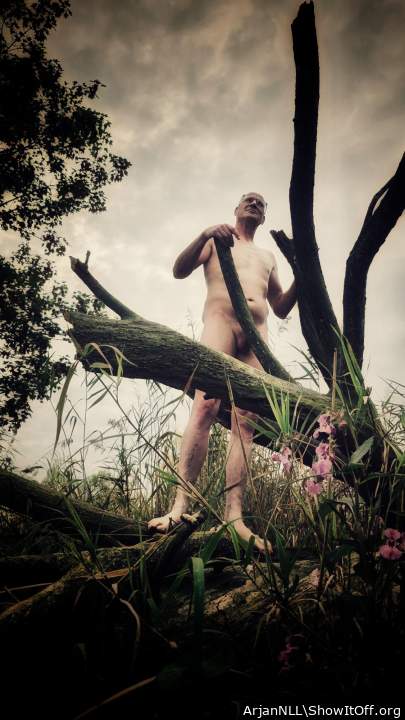 Adult image from ArjanNLL