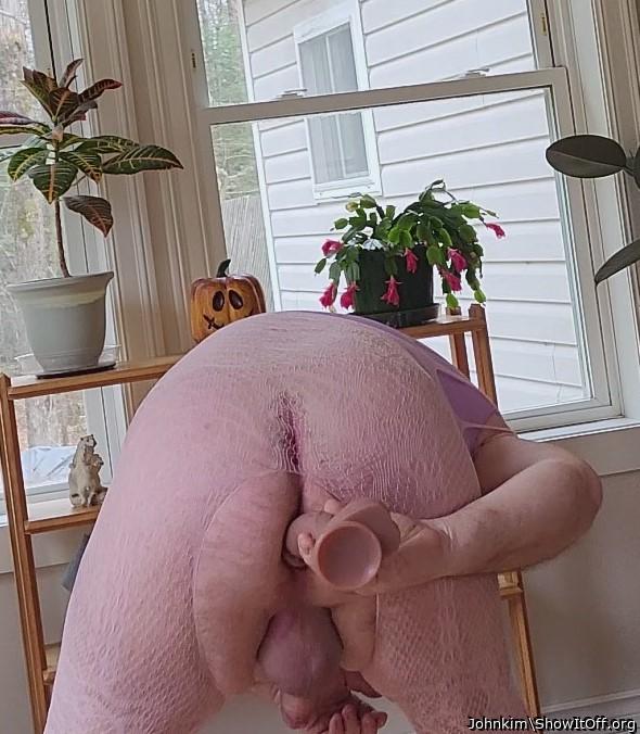 Adult image from Johnkim