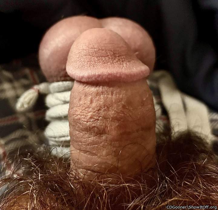 Adult image from CDGooner