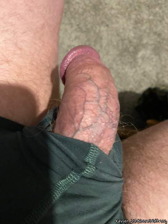 Adult image from Xavier_29