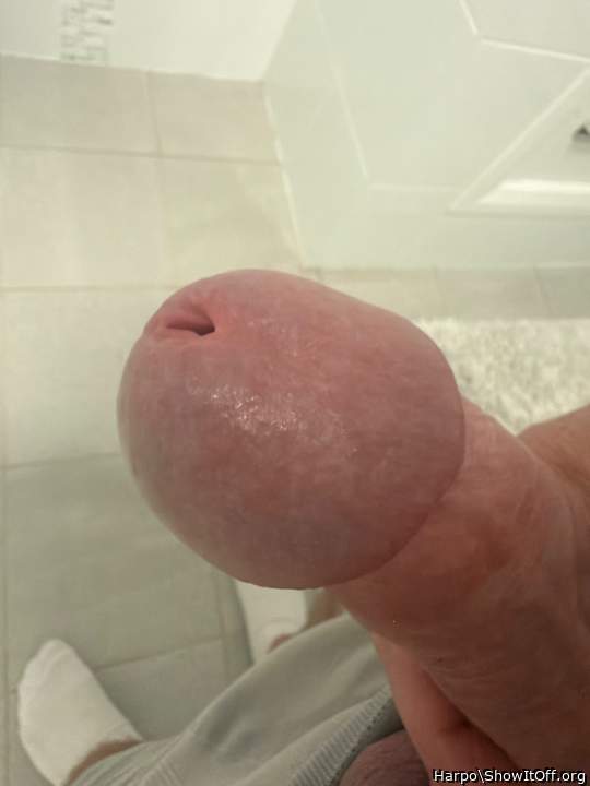 Adult image from Harpo
