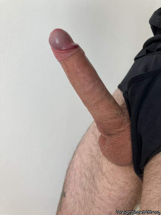 Gorgeous erection!!! 