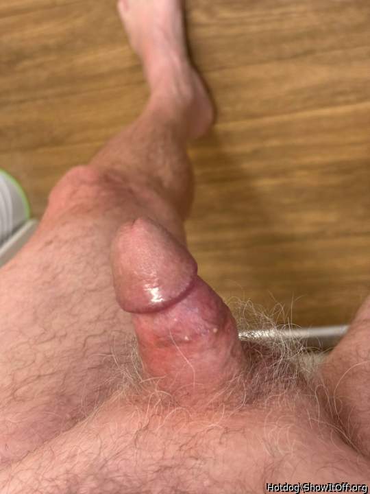 Adult image from Hotdog