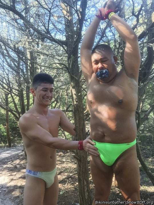 Tied up in the woods