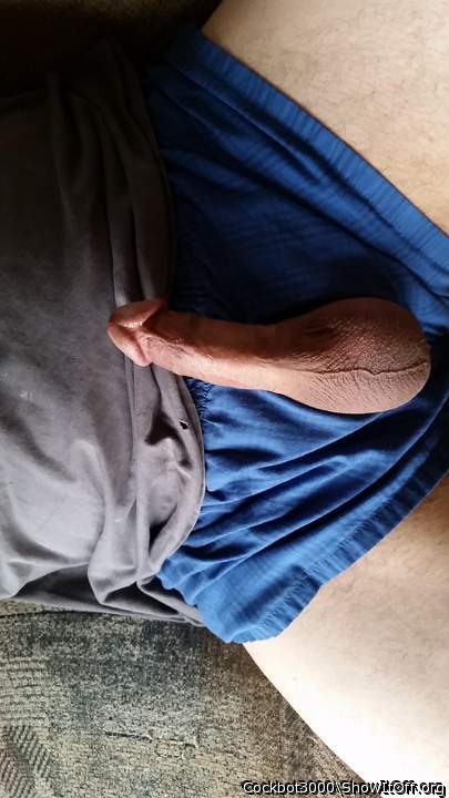 Perfect fucking cock... I'm gonna cum to this pic now